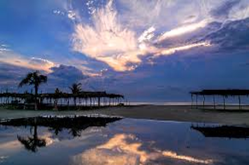 Caminata Ecológica Nocturna